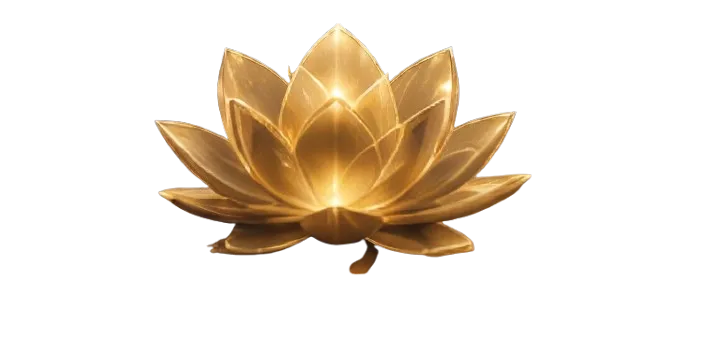Lotus Cynthia